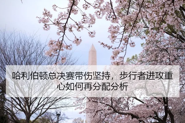 哈利伯顿总决赛带伤坚持，步行者进攻重心如何再分配分析