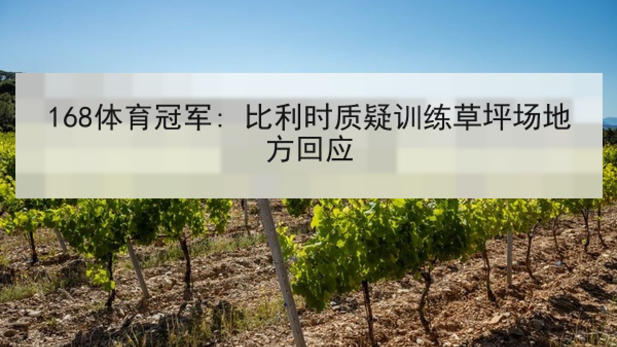 168体育冠军: 比利时质疑训练草坪场地方回应