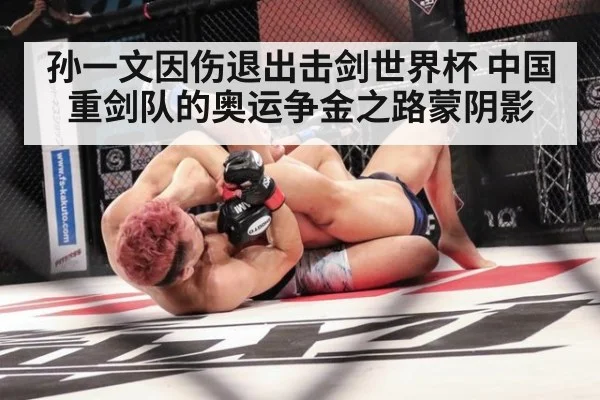 孙一文因伤退出击剑世界杯 中国重剑队的奥运争金之路蒙阴影